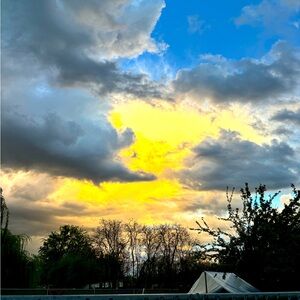 Meet your Posher, Leila